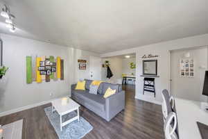 Living room featuring dark wood-type flooring