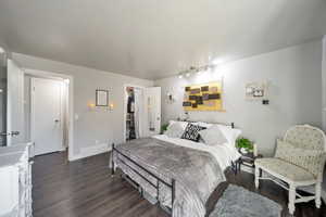 Bedroom with dark wood-type flooring, a spacious closet, and a closet