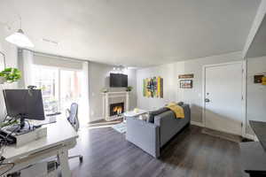 Living room featuring a tile fireplace and dark wood-type flooring