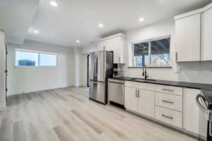 Kitchen featuring a healthy amount of sunlight, stainless steel appliances, sink, and light wood-type flooring