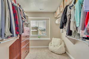 Spacious closet with light colored carpet