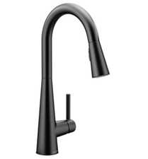 black kitchen faucet