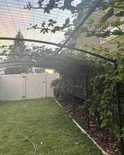 View of blackberry trellis