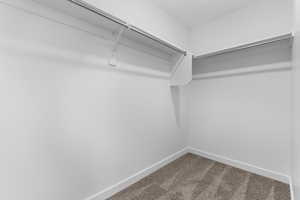 Spacious closet featuring carpet flooring