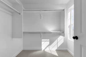 Spacious closet featuring carpet floors
