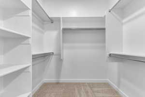 Spacious closet featuring light carpet