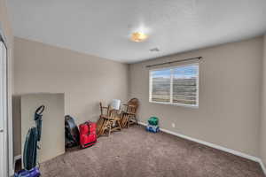 Playroom featuring carpet flooring and a textured ceiling