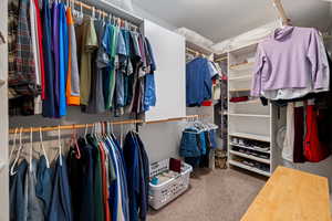 Walk in closet with carpet flooring