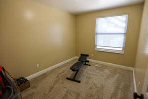 Workout room featuring carpet floors and a wealth of natural light