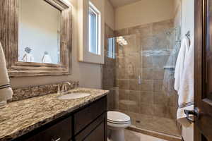 Bathroom with vanity, toilet, and walk in shower