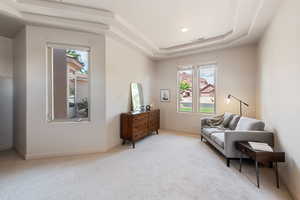 Living area featuring plenty of natural light, light colored carpet, and a raised ceiling