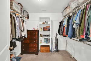 Spacious closet featuring light colored carpet