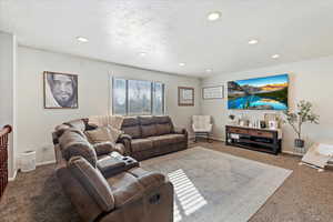 Carpeted living room with a textured ceiling