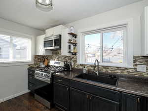 Kitchen with sink, white cabinetry, dark hardwood / wood-style floors, stainless steel appliances, and backsplash