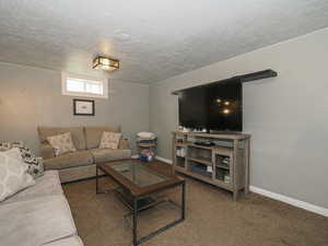 Carpeted living room featuring a textured ceiling