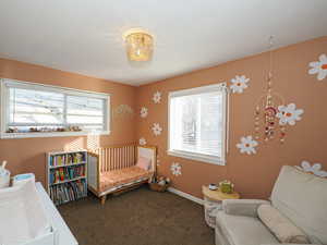 Bedroom with dark colored carpet