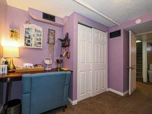 Office space with bar area, dark carpet, and a textured ceiling