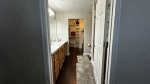 Master bathroom featuring vanity and wood-type flooring and walk-in closet