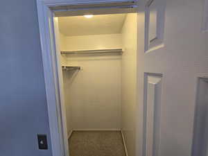 Walk in closet featuring carpet flooring