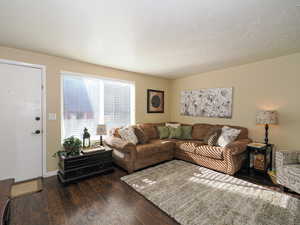 Living room featuring dark hardwood / wood-style flooring