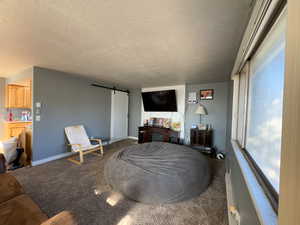 Living room with a barn door, a healthy amount of sunlight, carpet, and a textured ceiling