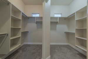 Walk in closet featuring carpet floors