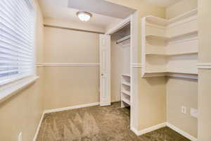 Walk in closet with carpet flooring