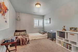 Bedroom featuring carpet and a textured ceiling