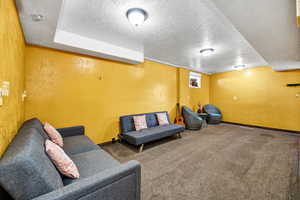 Familyroom featuring a textured ceiling and carpet flooring