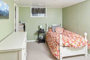 Bedroom with light colored carpet