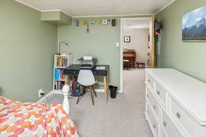 Bedroom with crown molding and light colored carpet