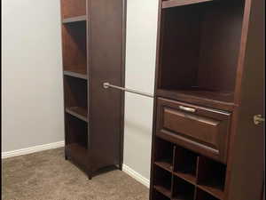 Spacious closet with light colored carpet