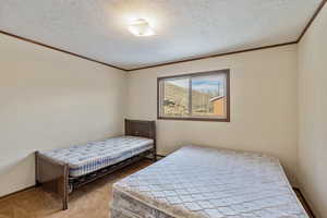 Bedroom featuring ornamental molding, carpet flooring, and a textured ceiling