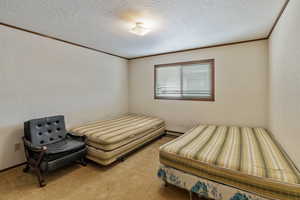 Bedroom with a baseboard heating unit, ornamental molding, a textured ceiling, and carpet flooring