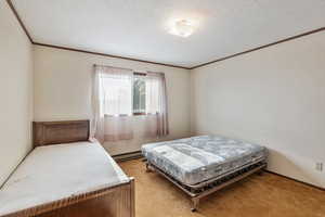 Carpeted bedroom featuring crown molding, a textured ceiling, and baseboard heating