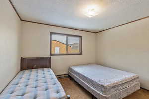 Bedroom with crown molding, carpet, a baseboard heating unit, and a textured ceiling