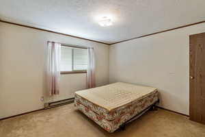 Carpeted bedroom featuring a baseboard radiator, ornamental molding, and a textured ceiling