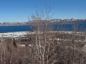 Water view with a mountain view