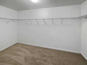 Walk in closet with carpet flooring