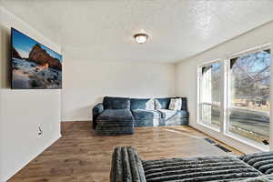 Living room featuring hardwood / wood-style flooring and a textured ceiling