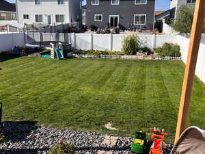 View of yard during summer months