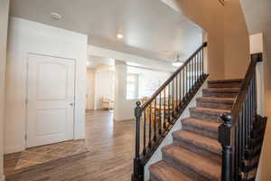 Stairs with hardwood / wood-style floors