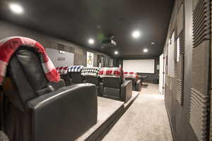 Cinema featuring light carpet