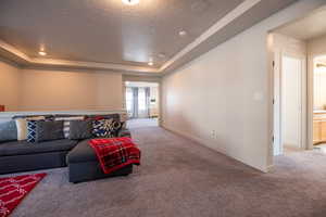 Carpeted living room featuring a raised ceiling and a textured ceiling