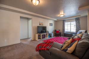 Living room with a tray ceiling, a textured ceiling, and carpet