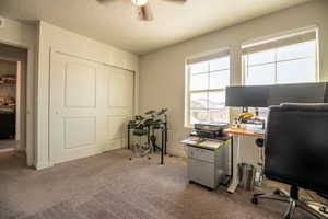 Carpeted home office featuring ceiling fan and a textured ceiling