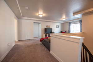 Living room featuring carpet floors and a textured ceiling