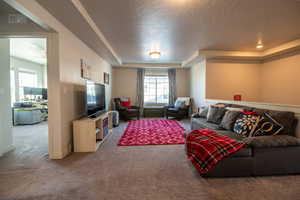 Living room with a raised ceiling, carpet floors, and a textured ceiling