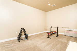 Workout room featuring carpet flooring and a textured ceiling