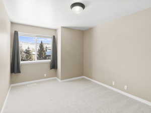 View of carpeted spare room